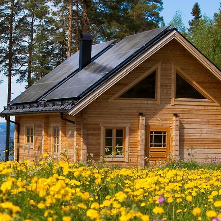 Blockhaus Am See - Komfort Umgeben Von Natur! Nalden المظهر الخارجي الصورة